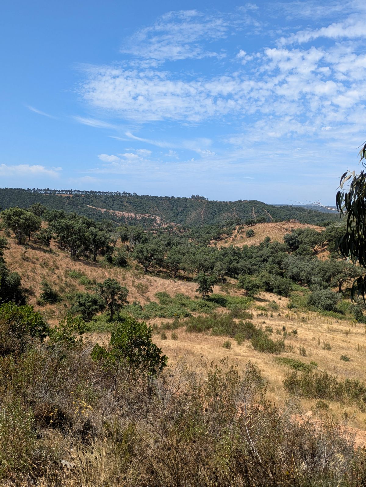 05-auf dem Weg nach Süden